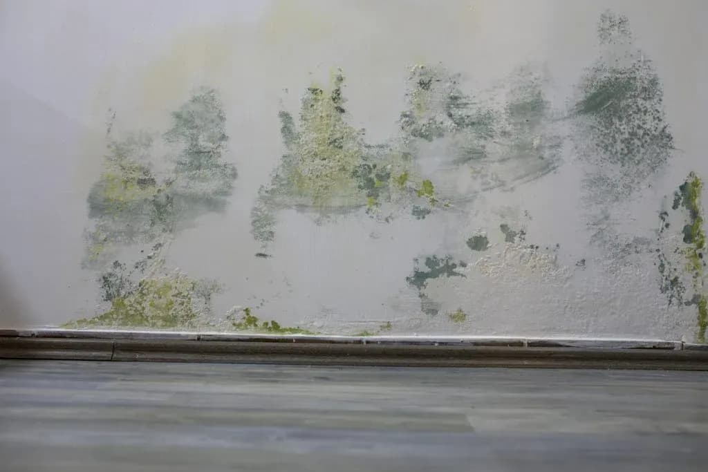 Best Paint Colours for Singapore Homes: Why Greige Beats Grey and Light Direction Changes Everything